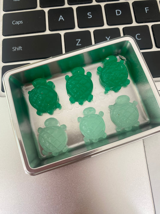 Mini turtle