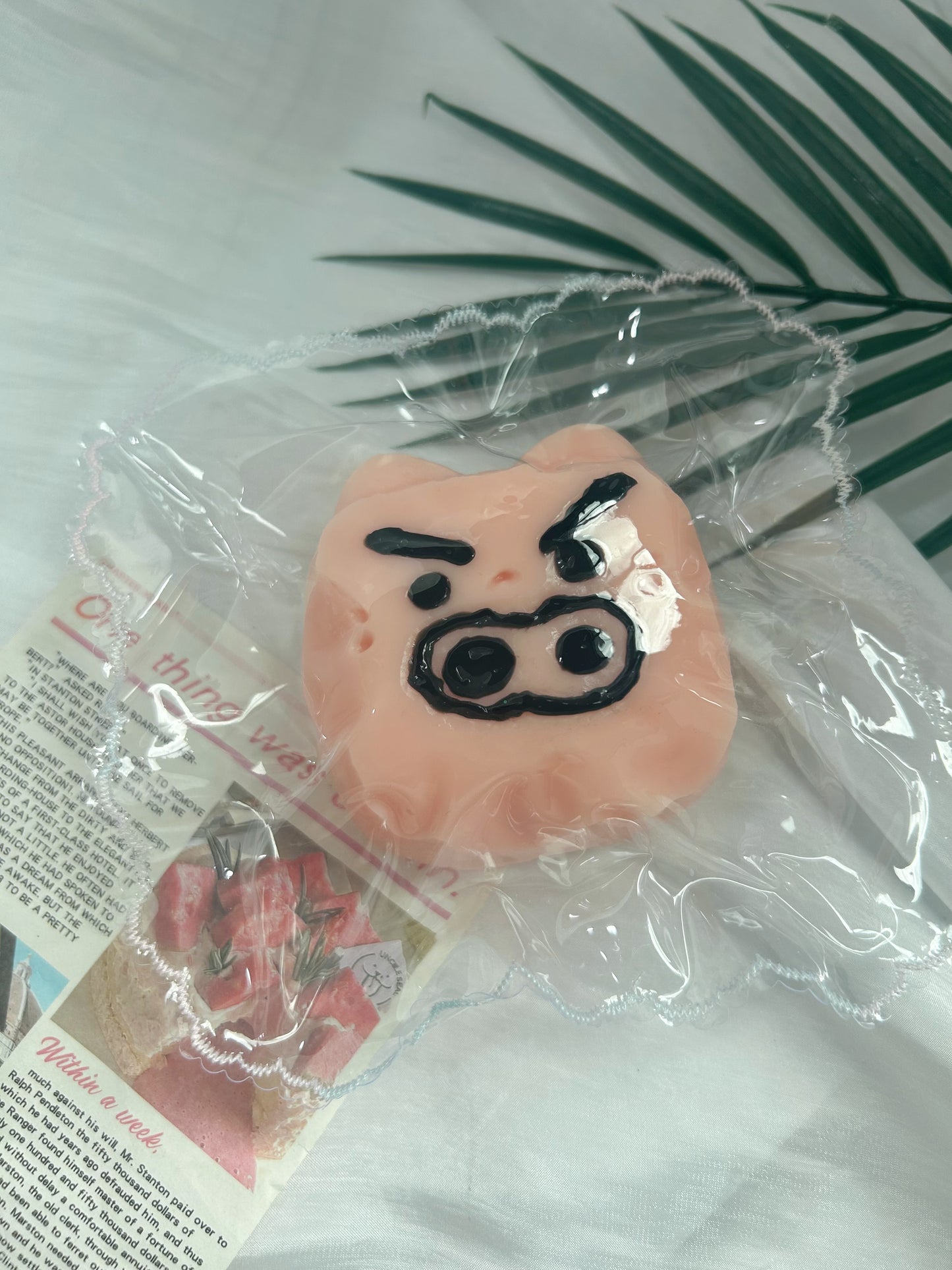 pig cube