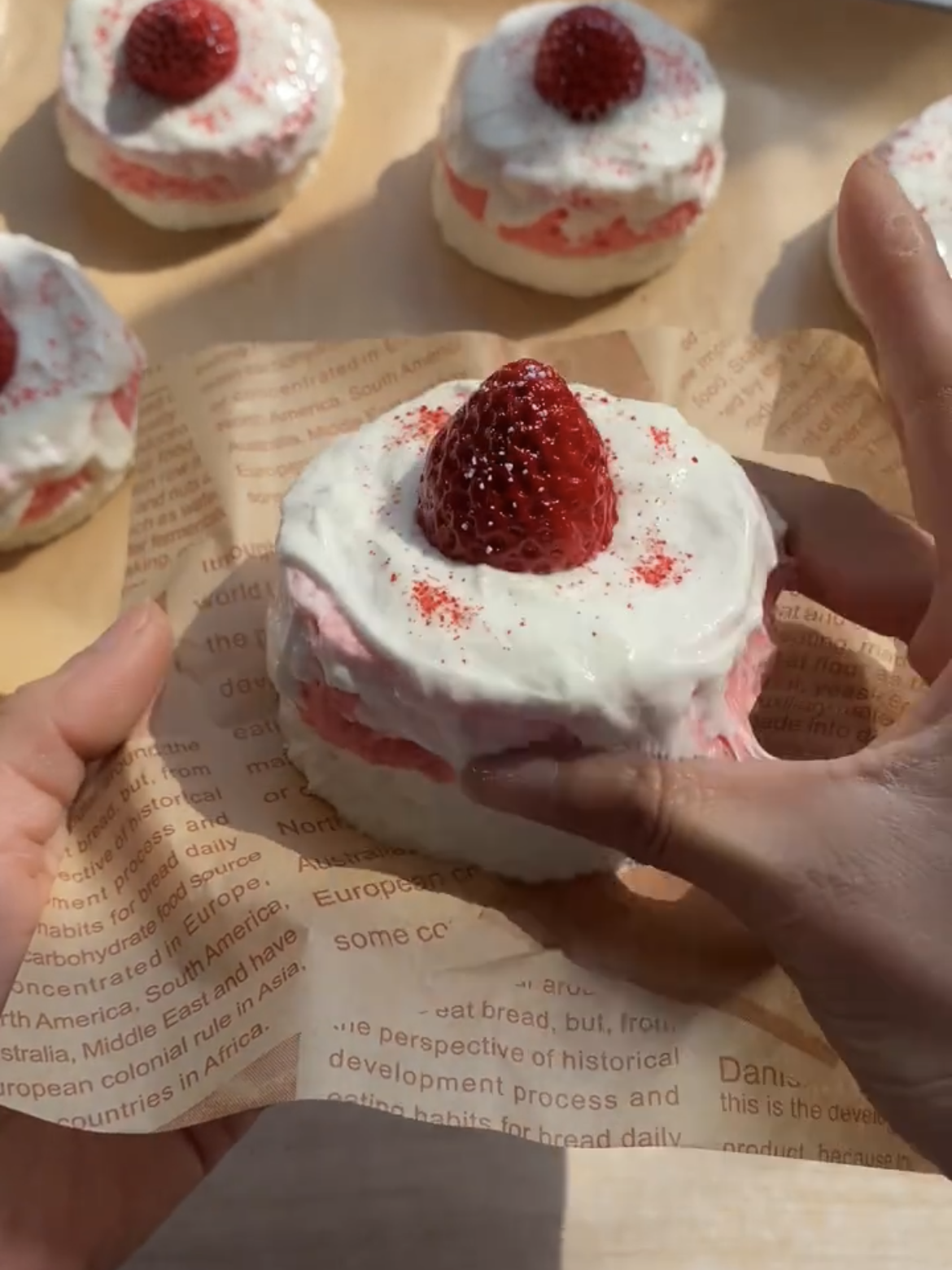 Handmade Silicone cake Relief Squishy Toy