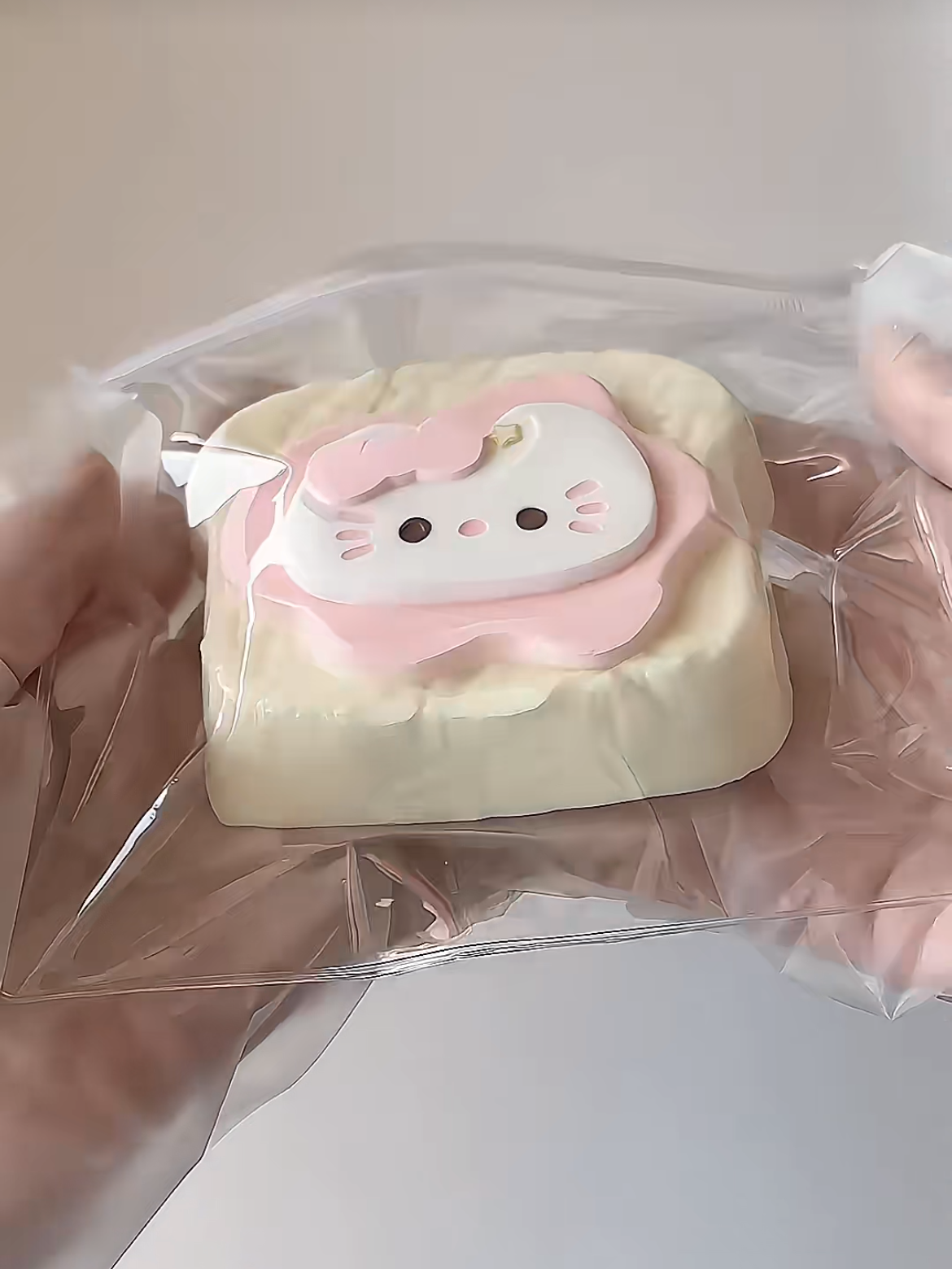 Handmade kitty toast tabasquishy toy