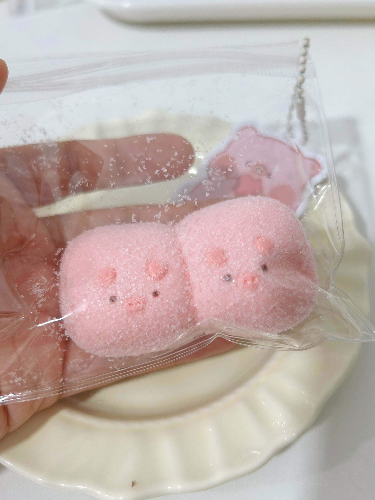 pig