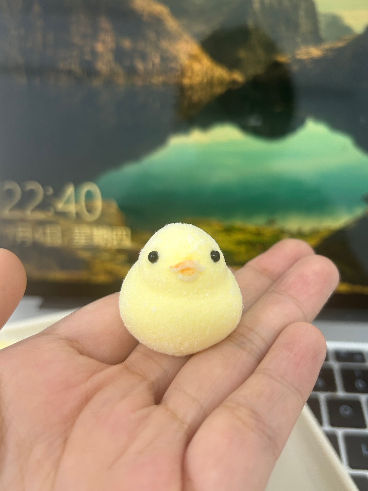 mini duck Handmade Silicone Stress Relief Squishy Toy