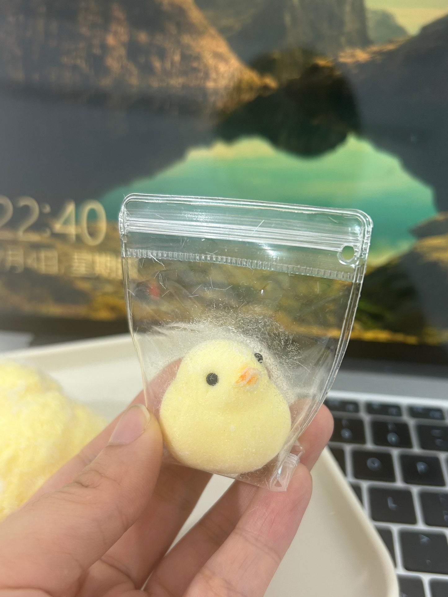 mini duck Handmade Silicone Stress Relief Squishy Toy