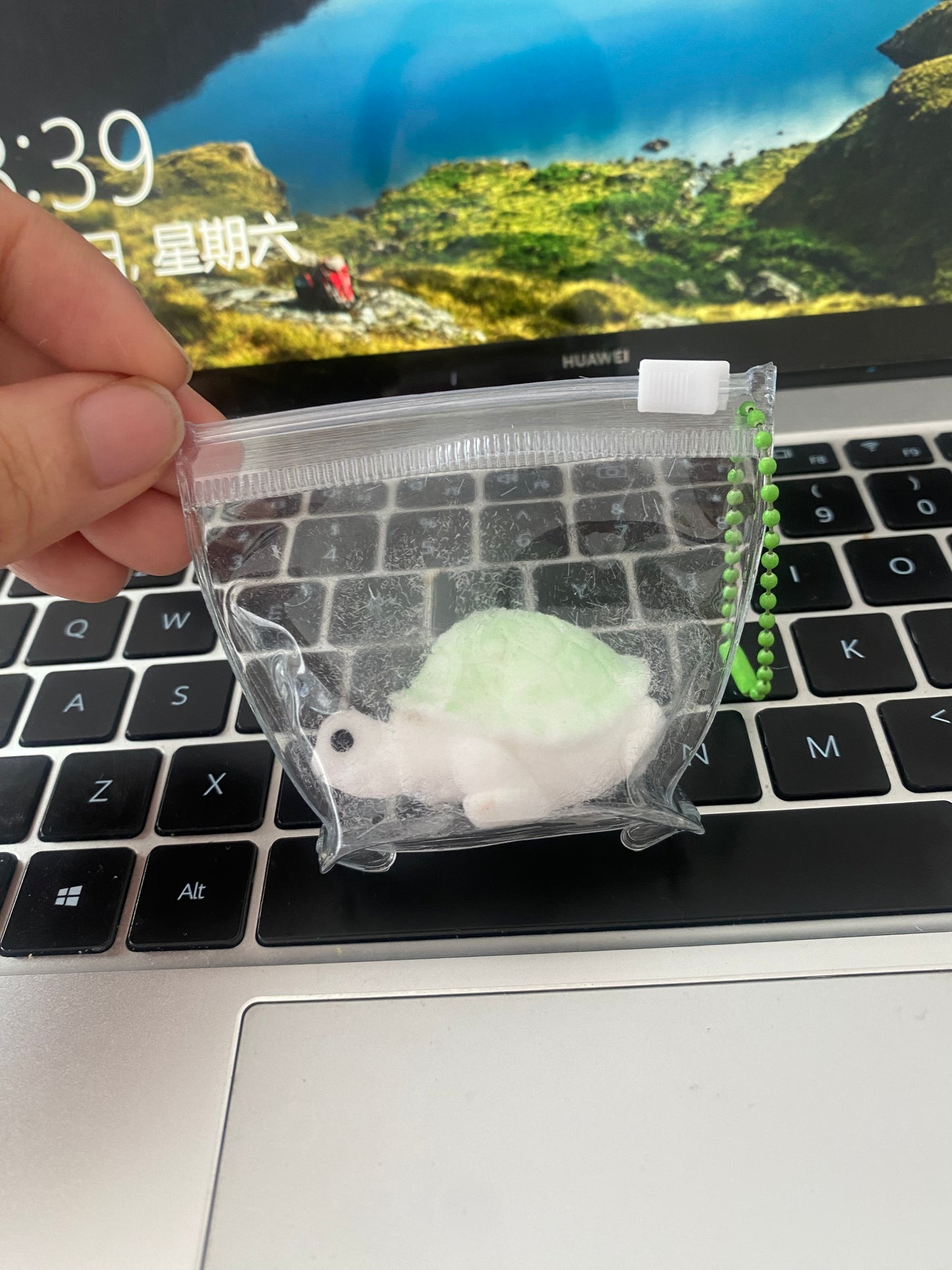 mini turtle