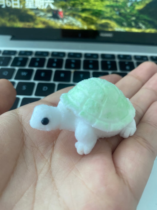 mini turtle